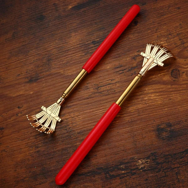 2pcs Extendable Scratcher Back Scratchers Hand Massage for Scratching Back Itch