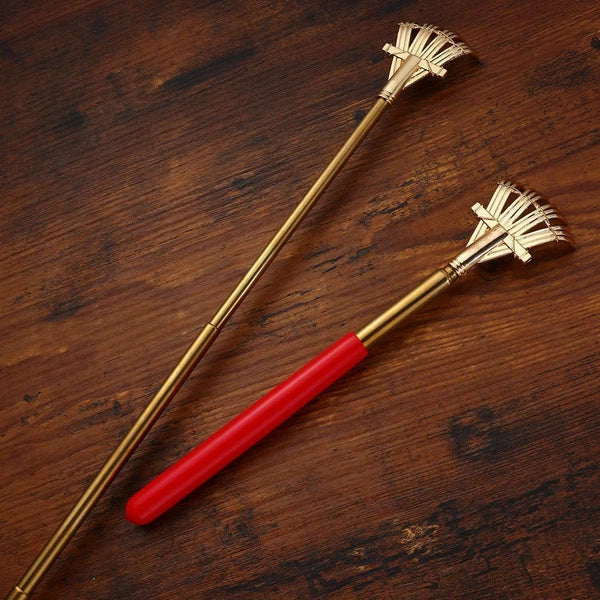 2pcs Extendable Scratcher Back Scratchers Hand Massage for Scratching Back Itch