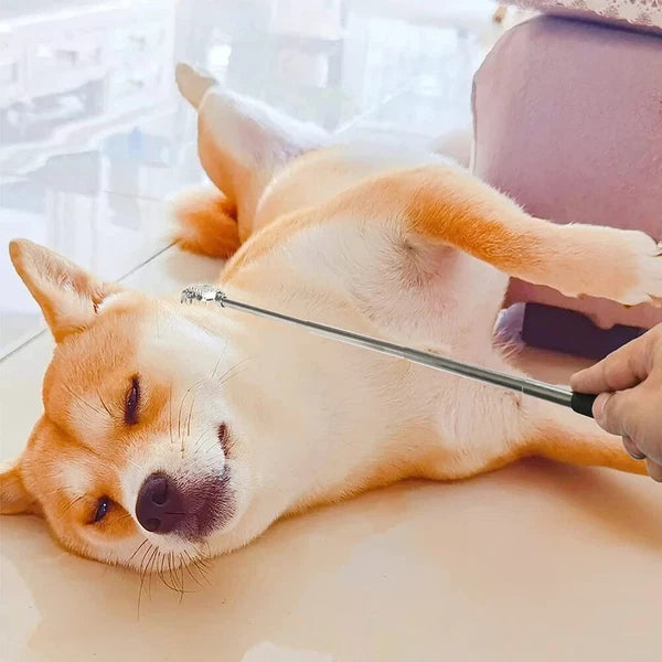 3Pcs Telescopic Back Scratcher Set Extendable Itch Relief Massage Portable Stick