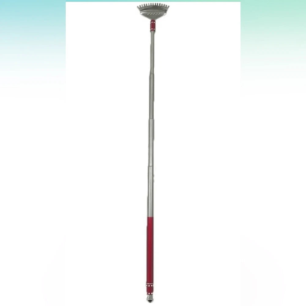 Red Silver Extendable Back Scratcher Ear Wax Remover Screwdriver