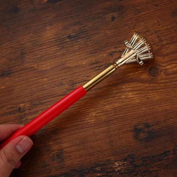 2pcs Extendable Scratcher Back Scratchers Hand Massage for Scratching Back Itch