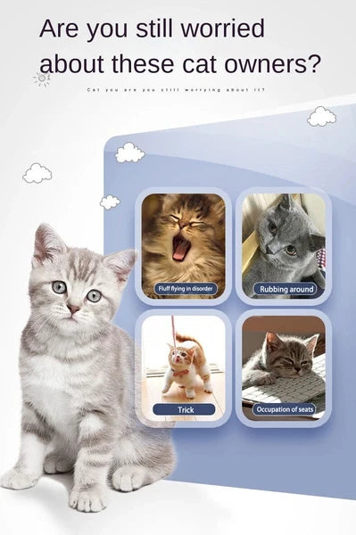 Cat Corner Self Groomer Brush Wall Mounted Cat Scratcher & Massager Comb