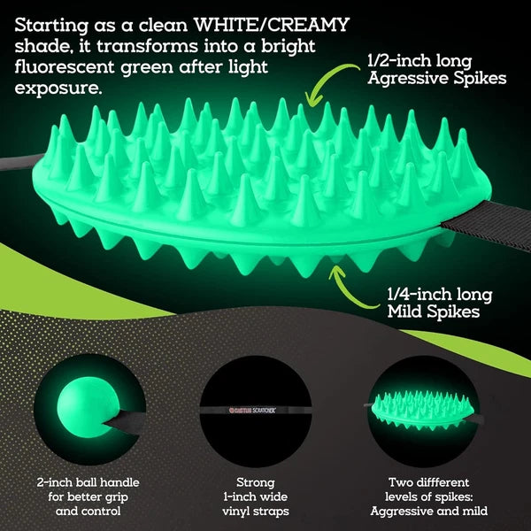 Cactus Scratcher Original Back Scratcher for Itching Relief, 2-Sided Aggressive