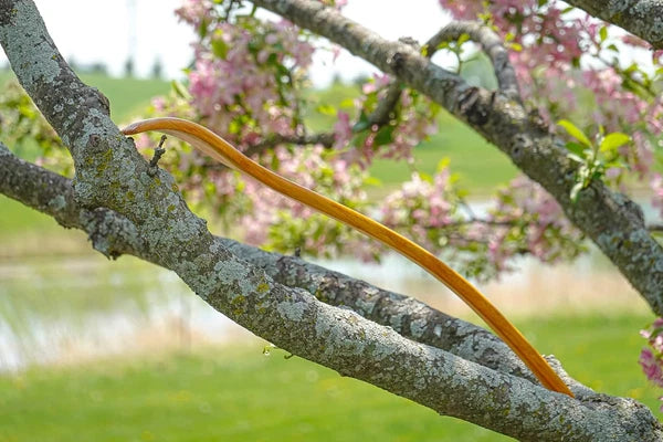 Oversized Wooden Back Scratcher: 18'' Extended Curved Handle for Better Reach, H