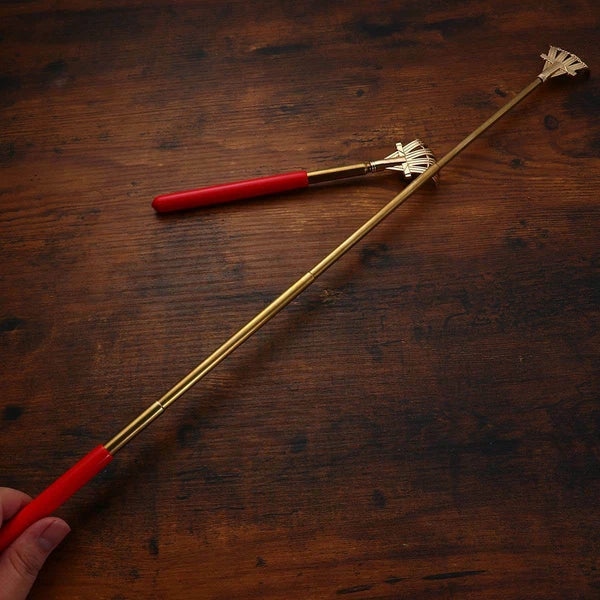 2pcs Extendable Scratcher Back Scratchers Hand Massage for Scratching Back Itch